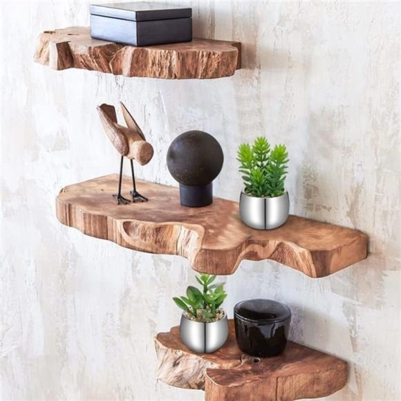 Small Artificial Succulents in Pots Set of 3 Realistic Faux Succulents Plants - Picture 6 of 6